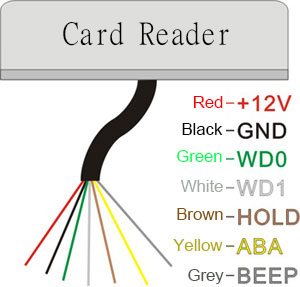 Circuit Of Reader